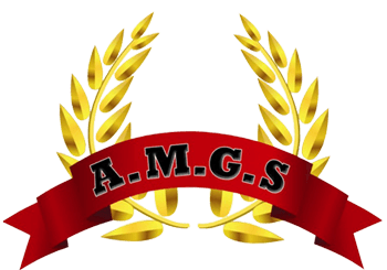 AMGS entreprise de sécurité et de gardiennage Marseille